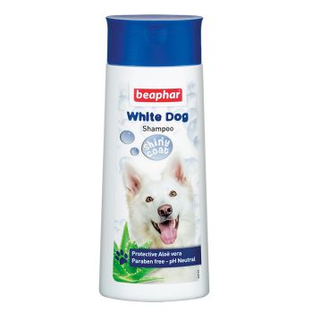 شامپو سگ مناسب برای موهای سفید