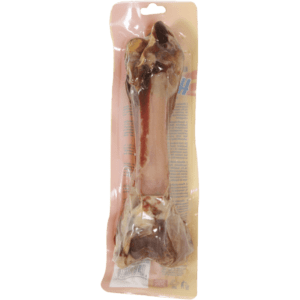 استخوان قلم خوک طبیعی