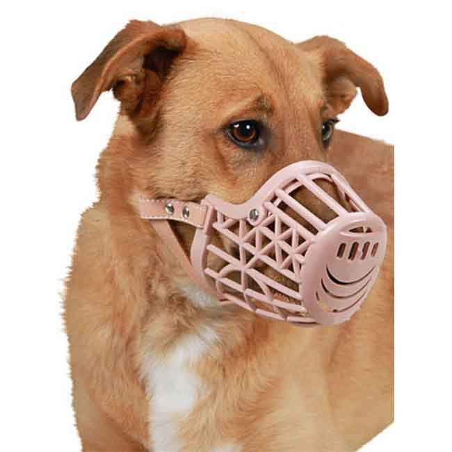پوزه بند پلاستیکی مخصوص سگ
